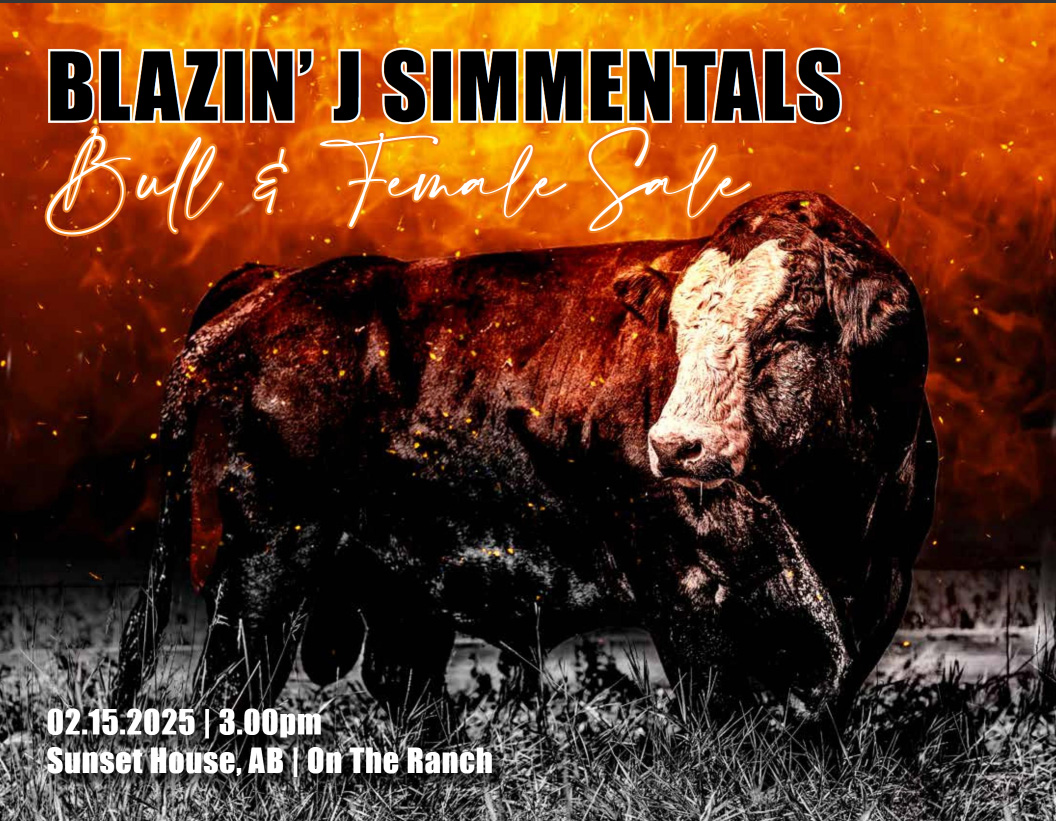 Blazin J Bull & Female Sale with guest Consignor Landaker Charolais