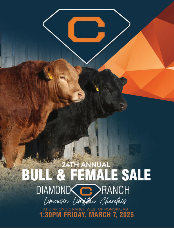 Diamond C Limousin Bull Sale