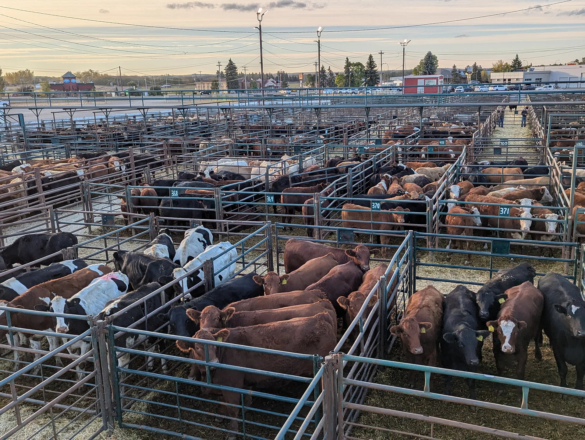 Ponoka-Header