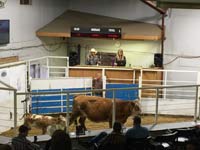 VJV Rimbey Facilities