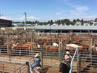 VJV Rimbey Facilities