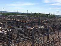 VJV Rimbey Facilities